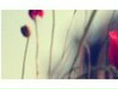 Анастасия Норбери | Eastleigh