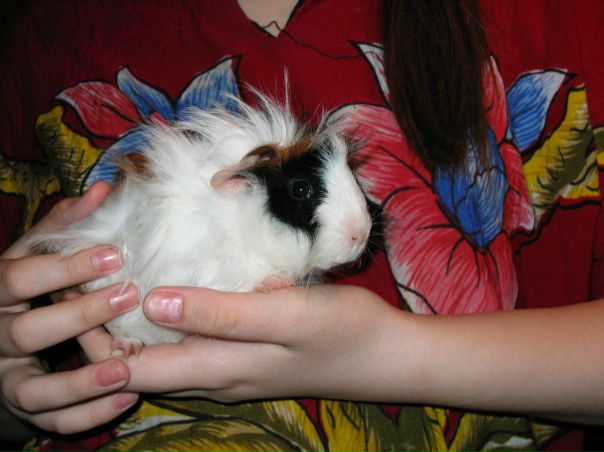 №86, Нина Валевская, Wrocław №86, Нина Валевская, Wrocław