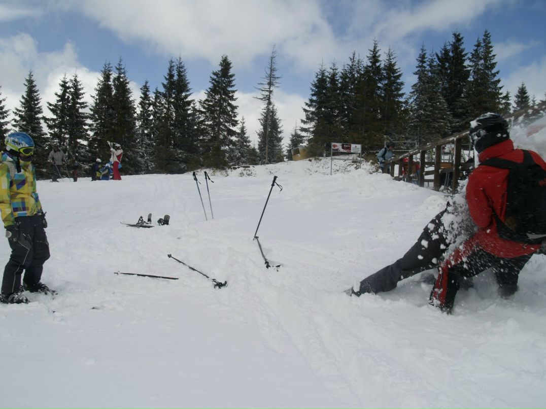 Марія Павловська-Лісогорська | Львов