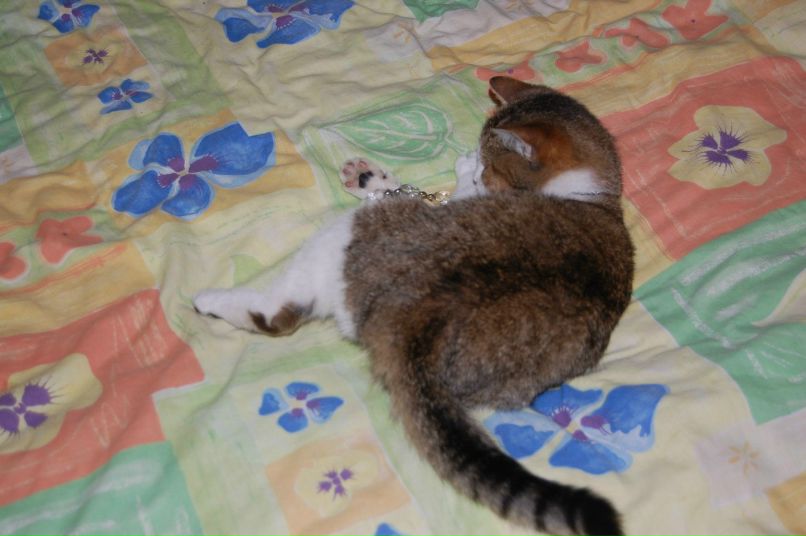 Марина Самборская | Wien