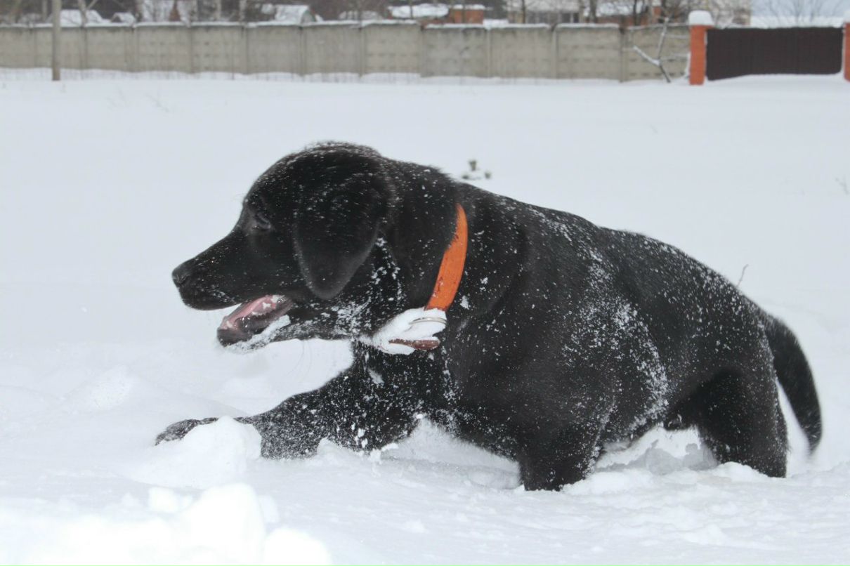 Светлана Мочаловская | Люберцы