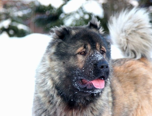 №46, Вероника Доничева, Новосибирск №46, Вероника Доничева, Новосибирск