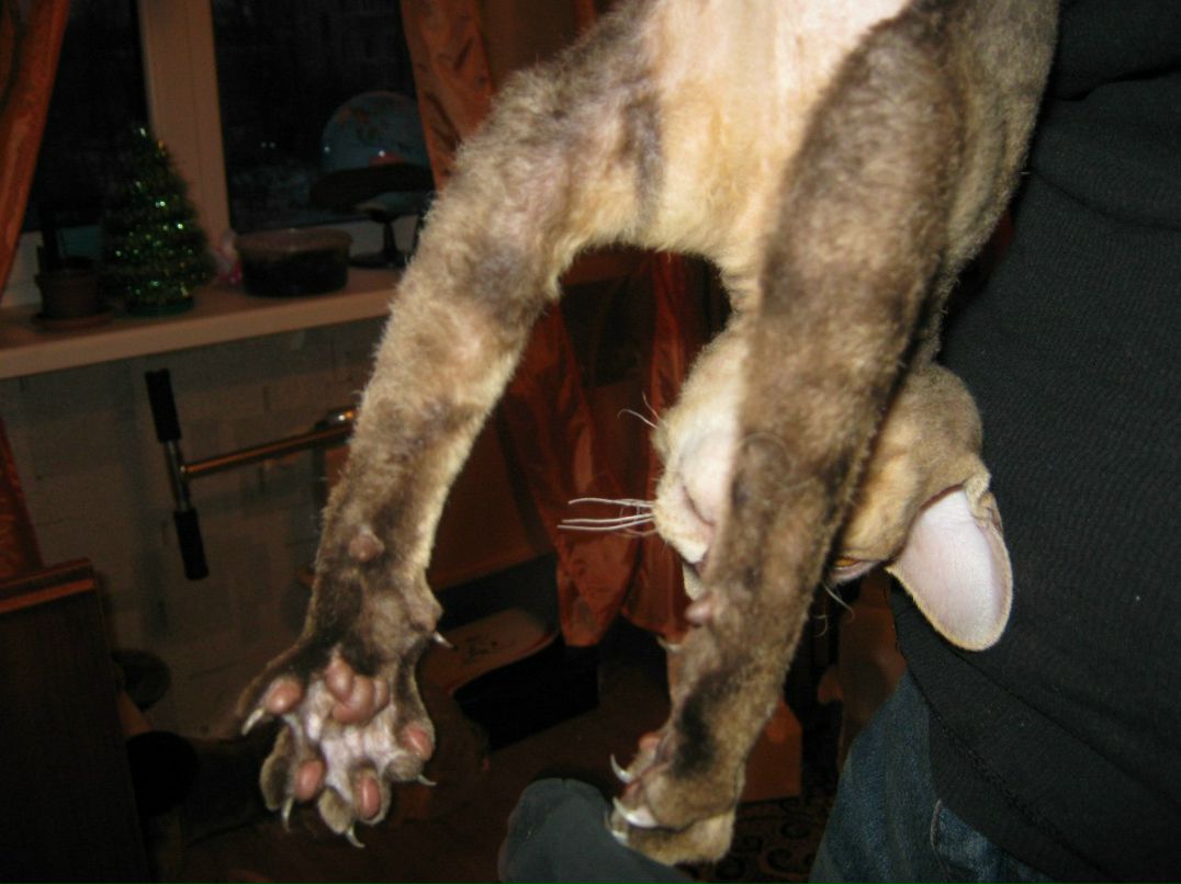 Наталья Загуляева | 