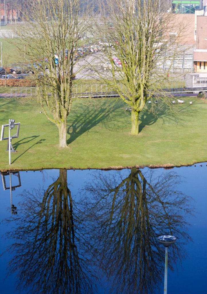 Артем Дергунов | Москва