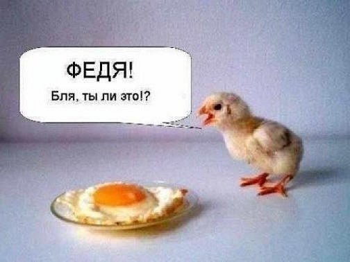 №67, Olli Еаа №67, Olli Еаа