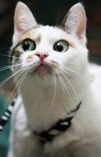 Роман Добринов | Poznań