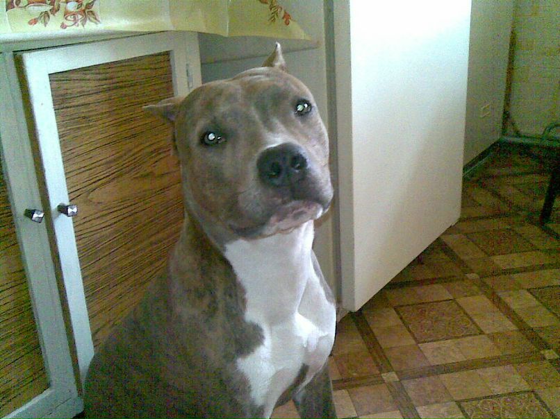 Ma Rqus | Астрахань