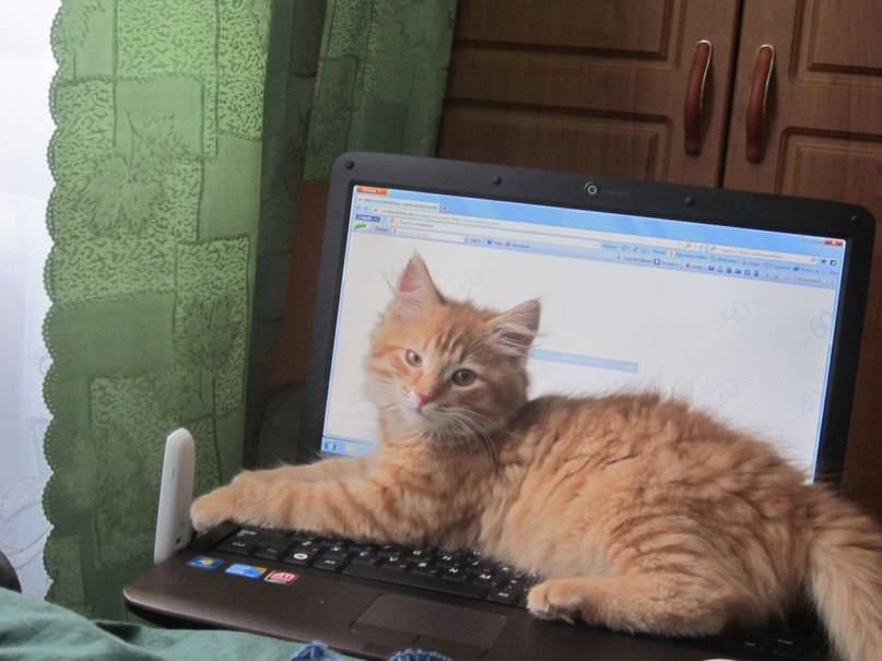 Серёга Ефимов | Санкт-Петербург