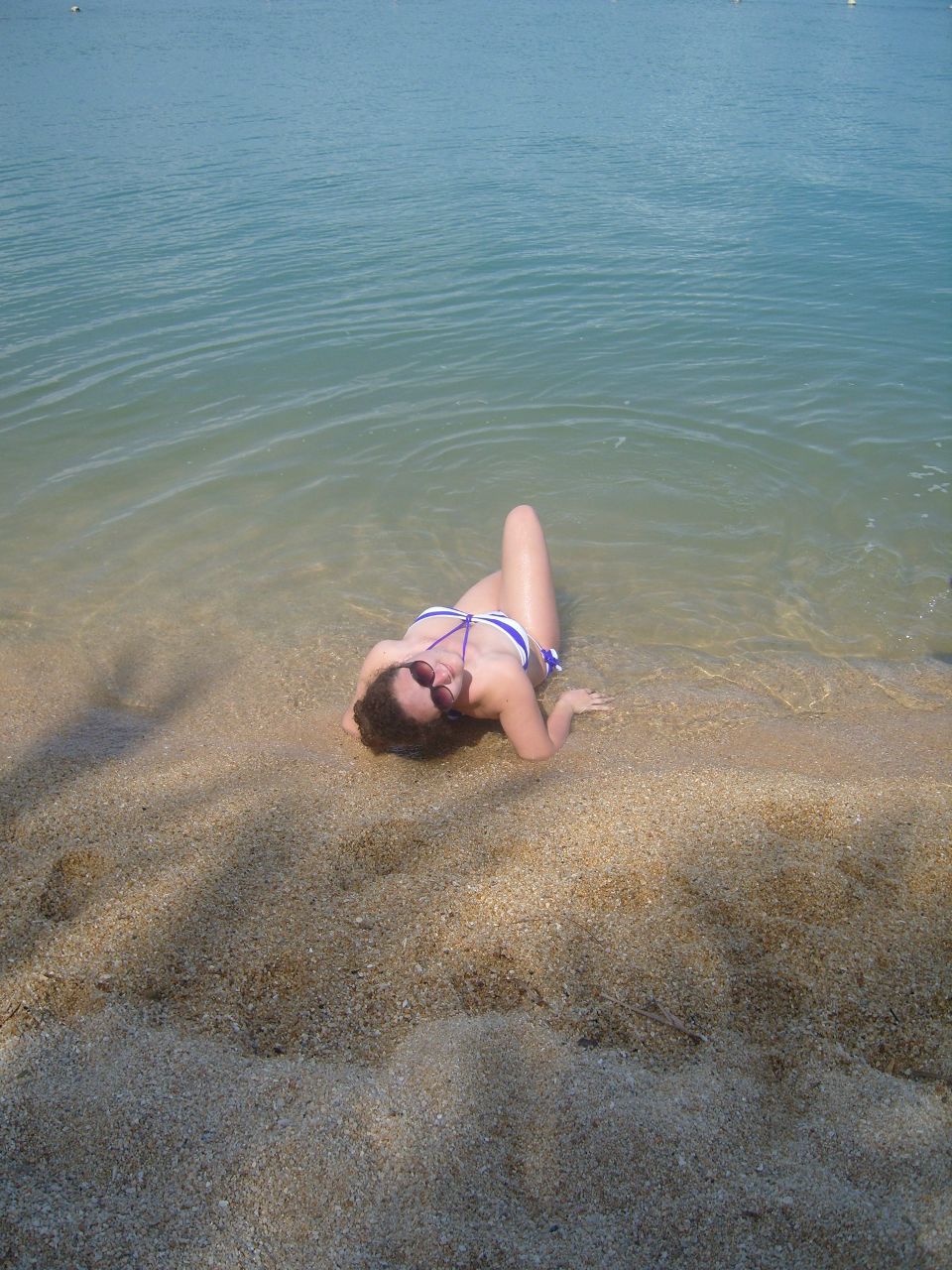 Дарья Сушкова | 