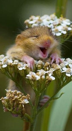 Елена Нефедова | Санкт-Петербург