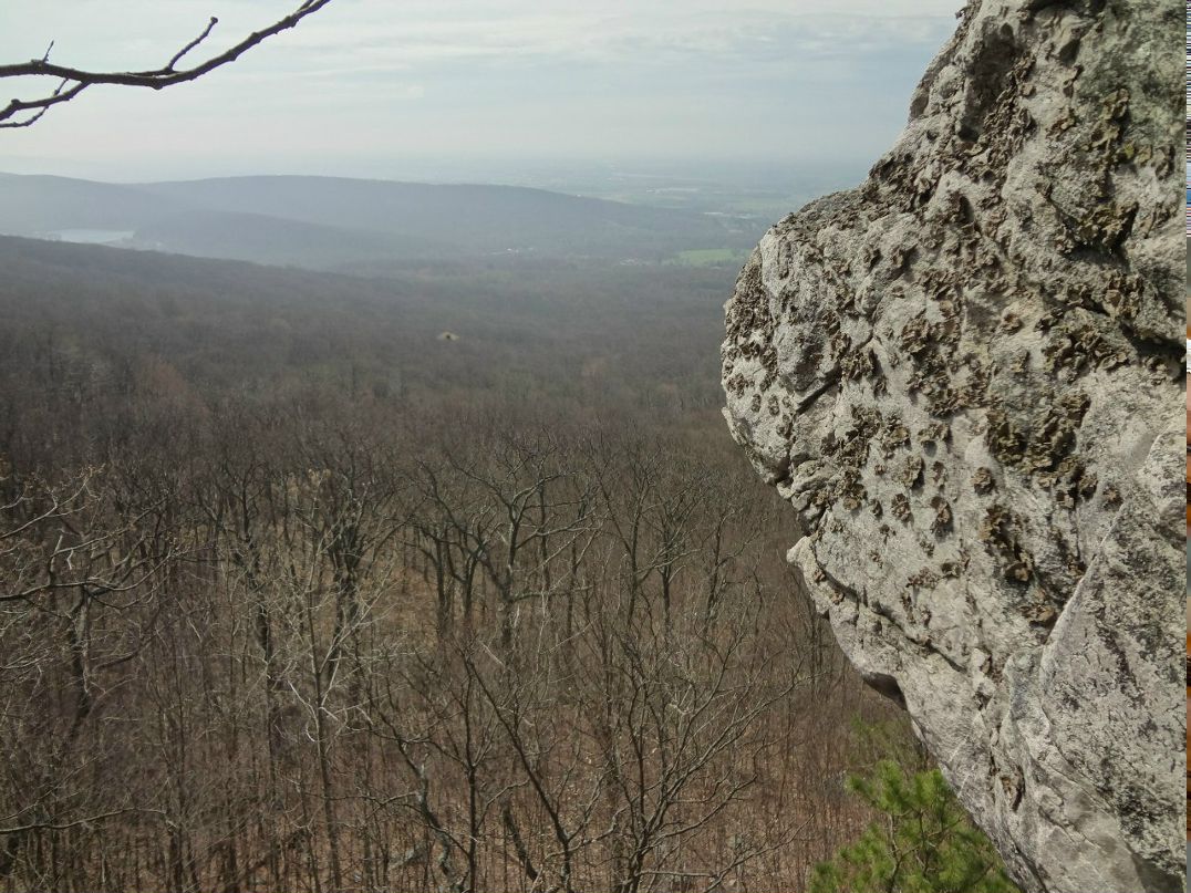 Алексей Никитенко Leon | Arlington
