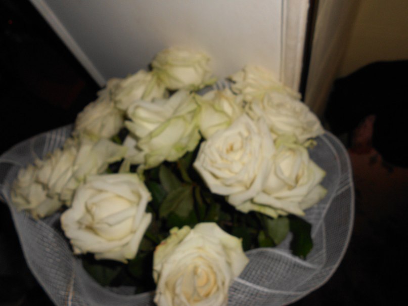 Валя Нестеренко | Киев