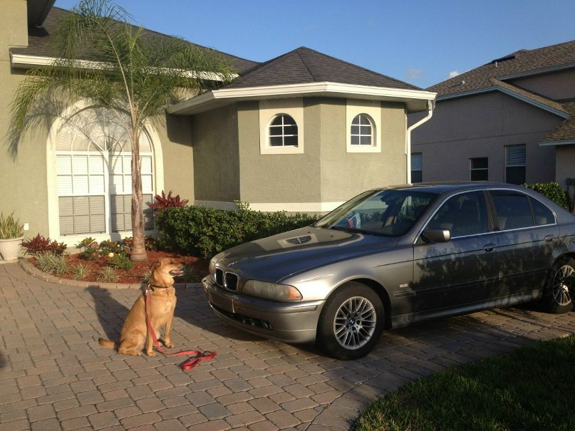 Виктор Смольский | Orlando