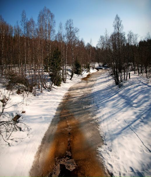 №10, Руслан Полевой, 41 год, Санкт-Петербург №10, Руслан Полевой, 41 год, Санкт-Петербург