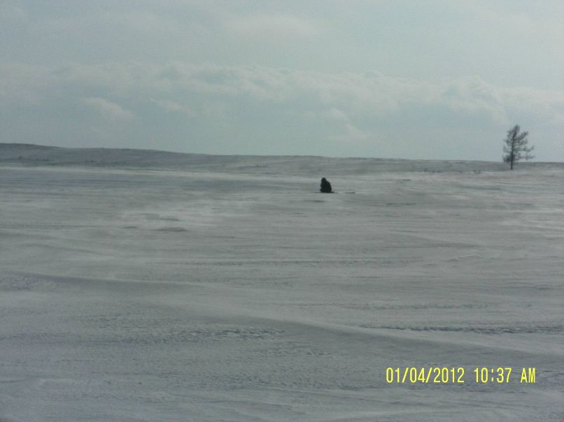 Ксения Шинкарёва | Новый Уренгой