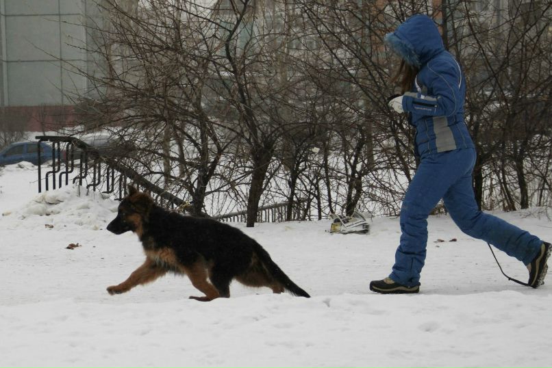 Вика Петлина | Москва