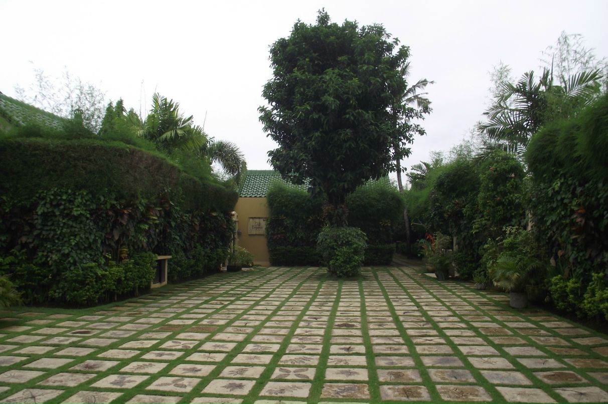 Мария Тарковская Сергеевна | Новосибирск