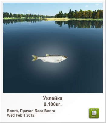 Лина Никифорова | Челябинск