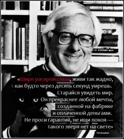 Ольга Николаева | Санкт-Петербург