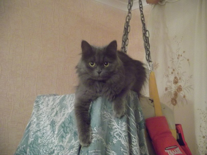 Игорь Пащенко | Харьков