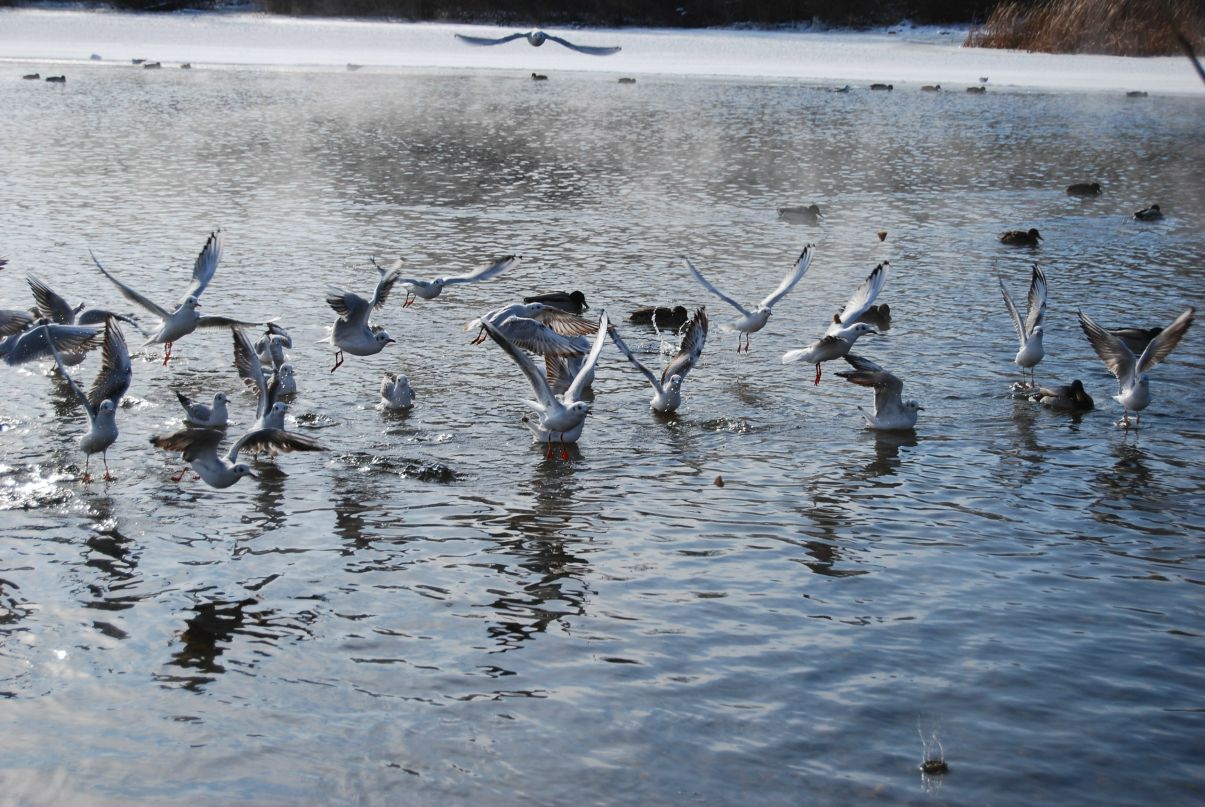 Екатерина Айзенхут | Днепр (Днепропетровск)