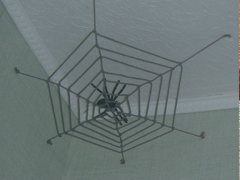 Никита Гатин | 