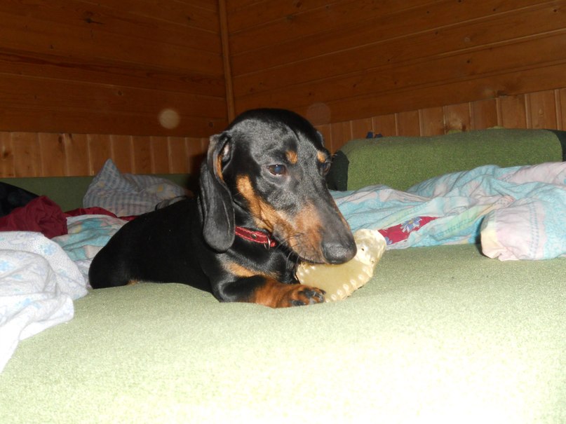 Софья Романовская | Санкт-Петербург