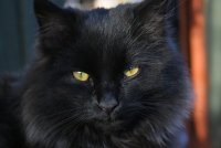 Игорь Олейник