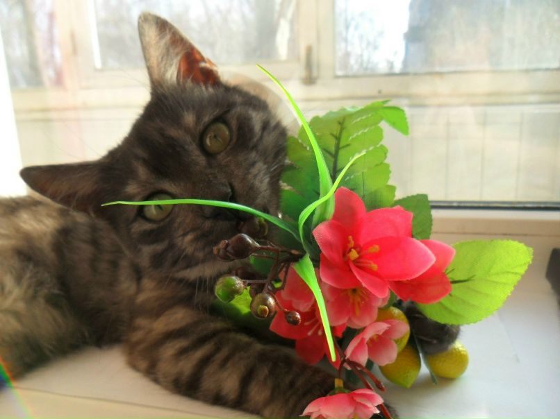 Александр Яценко | Славянск