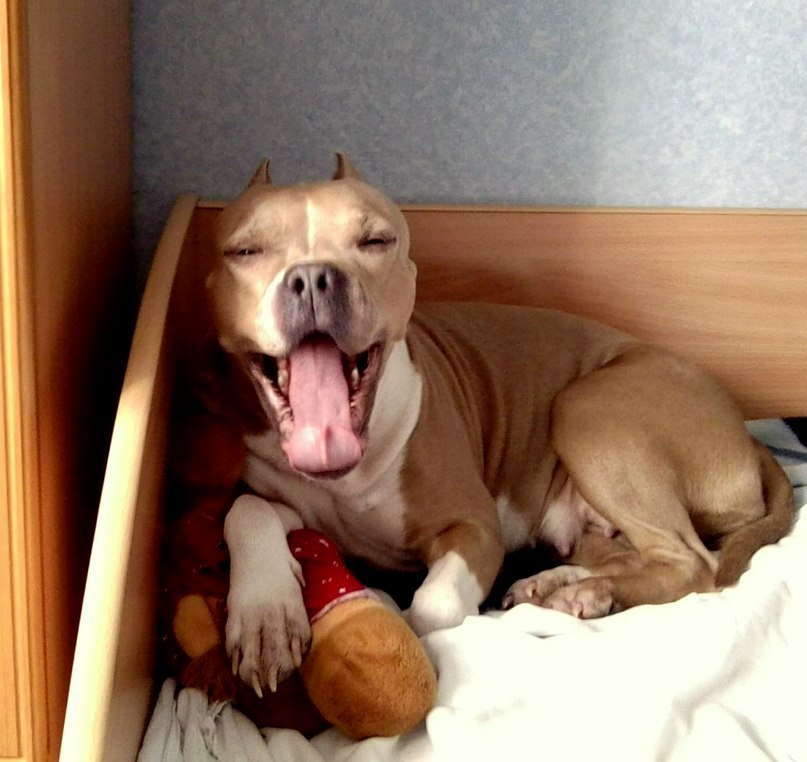 Артем Кулиненко | Челябинск