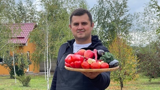 Король БАКЛАЖАН 🍆 СИНЕНЬКИЙ🍆ОГОНЁК & СТОЛБИКИ & РУЛЕТИКИ ‘’Моё Мнение’’#БАКЛАЖАН#СИНЕНЬКИЙ#РЕЦПТ#ЕДА