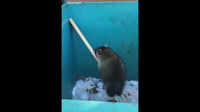 Unusual Videos UNUSUAL MEMES COMPILATION