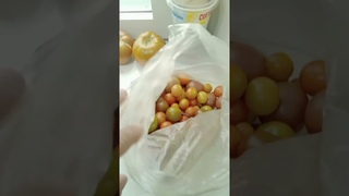 Фарш индейки + шампиньоны + соевый соус + чеснок + протеин + 2 яйца + петрушка + аэрогриль iCook.