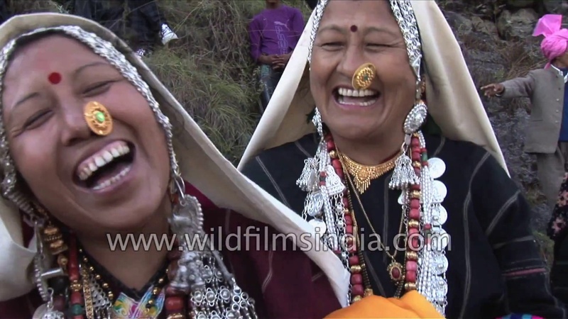 Kangdali Festival in Uttarakhand: when people celebrate kandali shrub blooms once every 12
