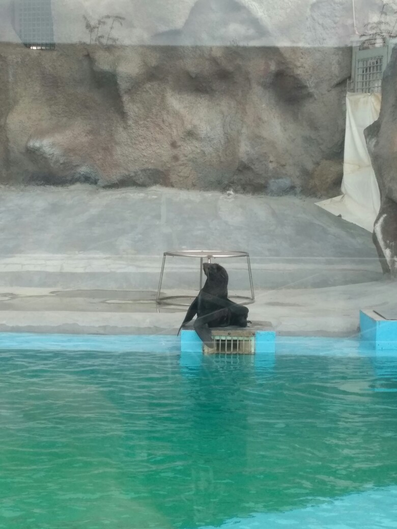 Юлия Шунина | Казань