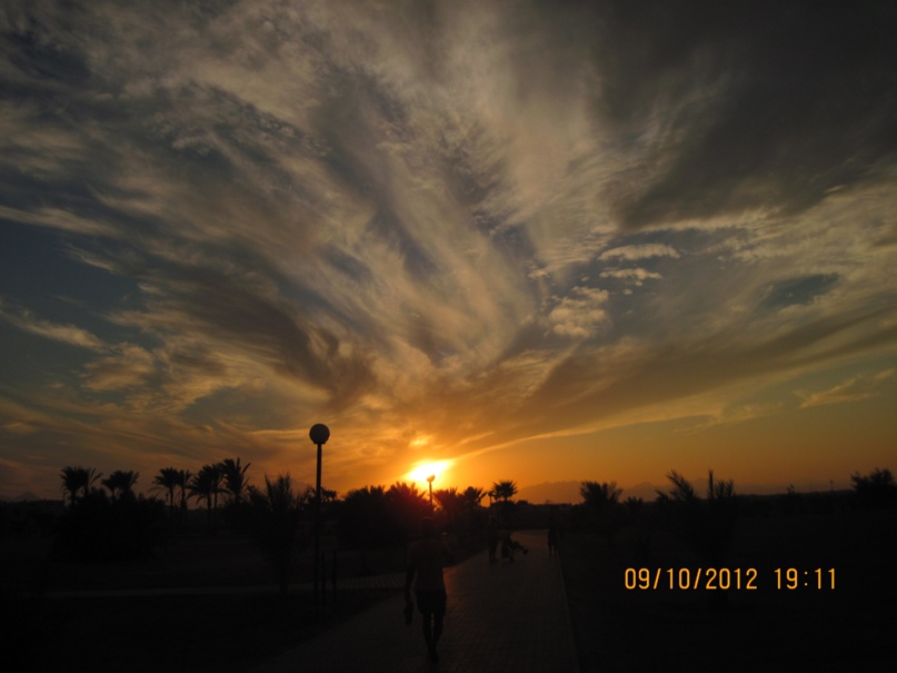 Елена Кудряшова | Санкт-Петербург