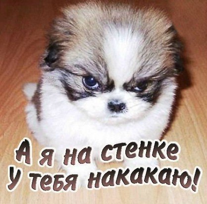 Сергей Никифоров | Ирпень