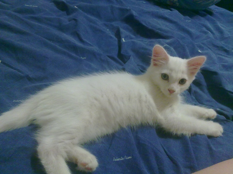 Василий Пермяков | Пермь