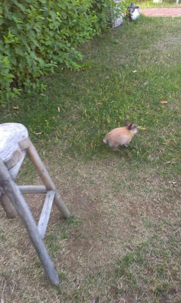 Миша Лозицкий | Санкт-Петербург