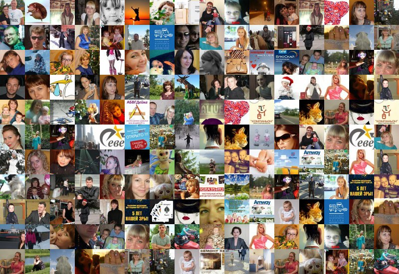 Елена Малиновская | Вологда