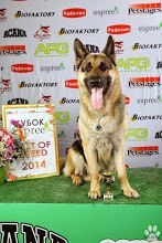 Юлия Никитенко | Киев