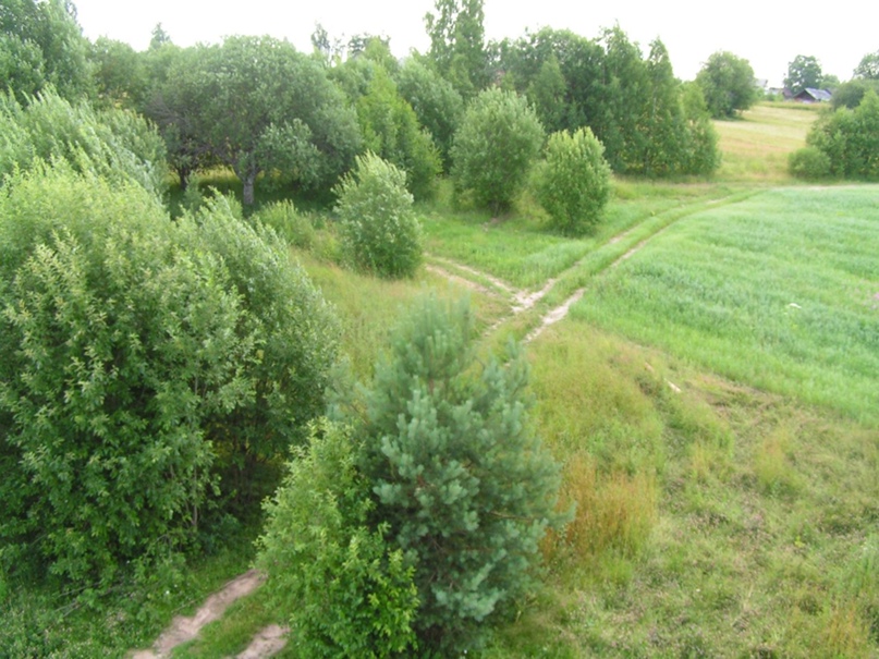 Марина Старовойтова MEDVED | Санкт-Петербург