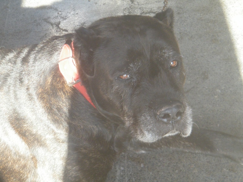 Анастасия Хорошавина | Новосибирск