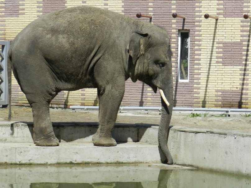 Александр Мирошниченко | Ростов-на-Дону