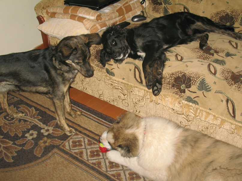 Ирина Душина | Алматы