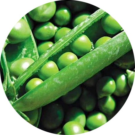 Олег Бабин | Санкт-Петербург