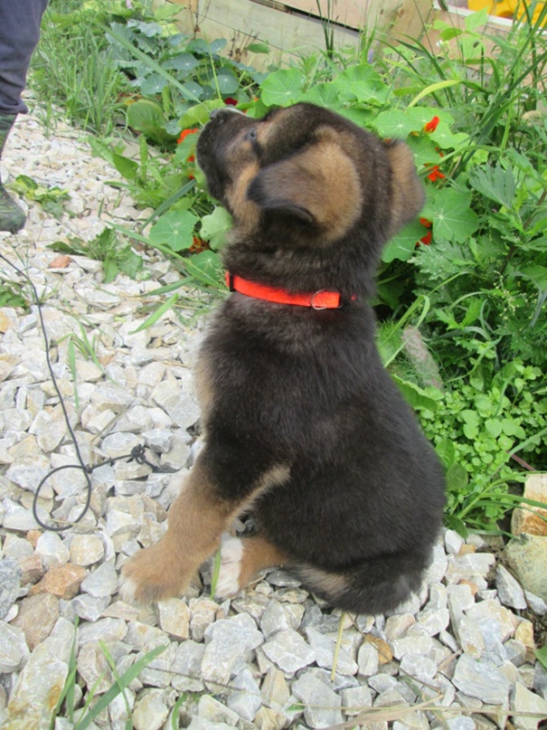 Екатерина Сырова | Екатеринбург