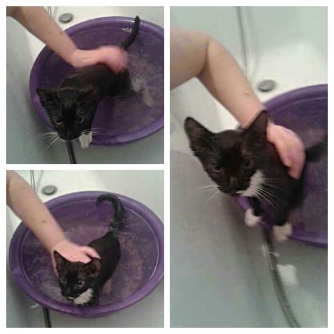 Алина Лысенко |