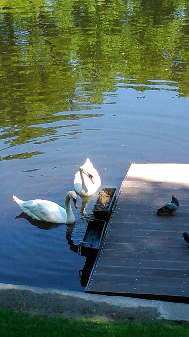 Вера Захарова | Санкт-Петербург