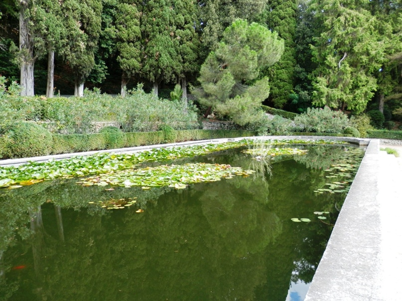 Надежда Гаджиева | Великий Новгород